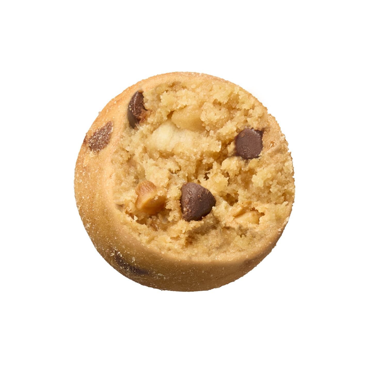 Banana Chocolate Peanut Butter Protein + Fiber Bites